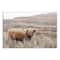Highland Cow Landscape 24" x 16" Canvas Wall Art